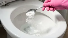 Toilet clogs will be gone without a trace: An easy method without expensive chemicals